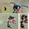 Eumenes sp.